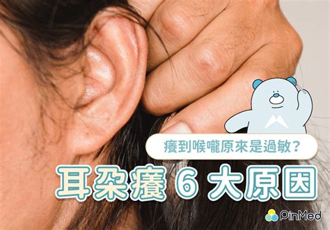 右耳癢意思|耳朵癢別亂挖，小心越挖越癢！醫指常見原因，4招有。